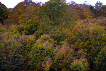 Fototapeta premium autumn landscape in northern spain