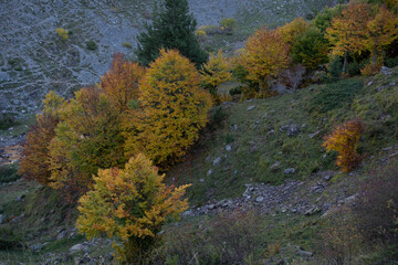 Fototapeta premium autumn landscape in northern spain
