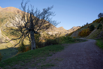 mountains landscape in the pyrenees