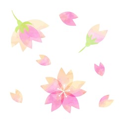 Fototapeta na wymiar 美しい水彩画の桜の素材セット