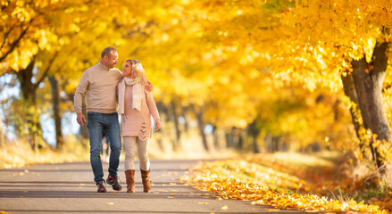 An adult couple in love on a walk in the autumn golden alley