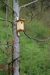 Birdhouse on a tree in the forest