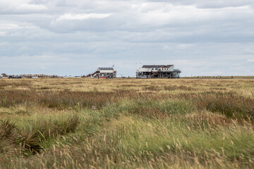 Fototapeta premium Pfahlbauten am Strand von St. Peter Böhl