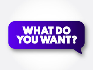 What Do You Want question text message bubble, concept background
