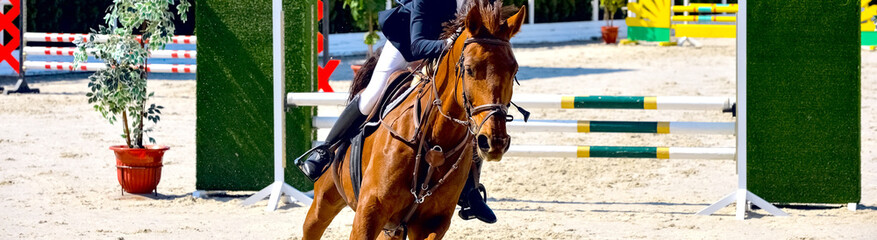 Rider and horse in jumping show