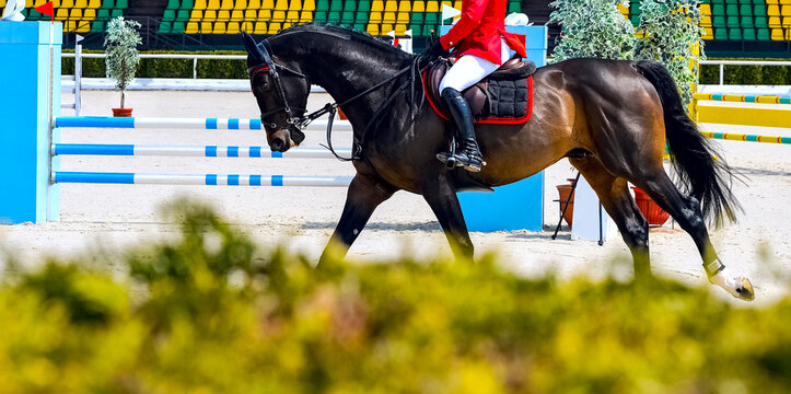 Rider and horse in jumping show