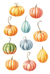 Watercolor illustration set – Pumpkins on white background.