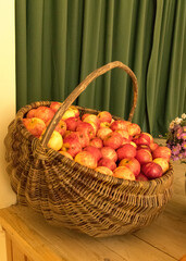 photo with apples in baskets, apple basket group, autumn