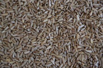 sunflower seed kernel