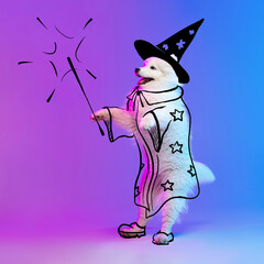 Contemporary artwork. One cute funny dog like magician isolated on purple studio background in neon with drawings.