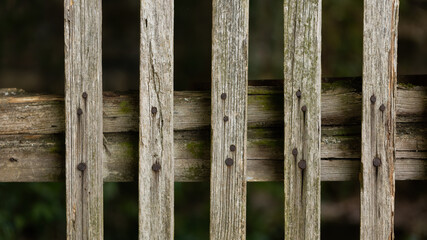 Wallpaper of structured planks nailed together in close up. Background of textured fence with space for text. Old brown timbers with copy space.