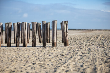 Logs in the sand as water protection on a beach in Domburg, Netherlands