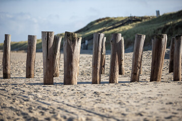Logs in the sand as water protection on a beach in Domburg, Netherlands