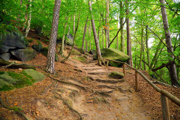 Hiking trail to the summit of the Lilienstein, Saxon Switzerland - Germany