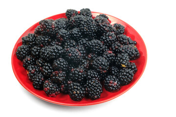 Ripe and juicy Blackberry in a red plate on a green white background. top view