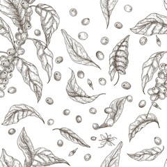 Beautiful seamless pattern with coffea or coffee tree branches, leaves, blooming flowers and fruits on white background. Contour illustration in antique style for fabric print, wallpaper.