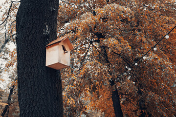 Birdhouse close up 