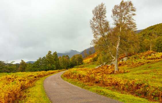 Glen Strathfarrar, Struy near Beauly, Scottish Highlands with colourful Silver Birch trees, golden bracken, mist covered mountains and single track road,  Space for copy.  Landscape.