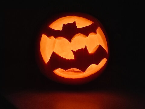 Halloween pumpkin with bats glowing in dark