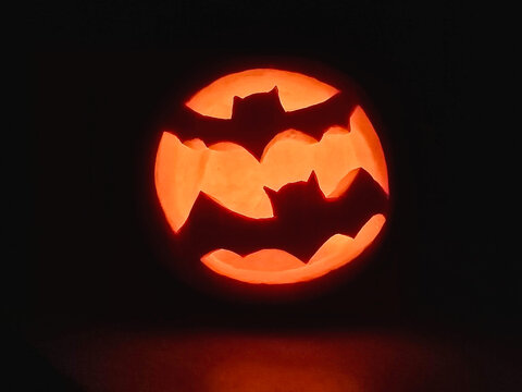 Halloween pumpkin with bats glowing in dark