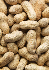 heap of peanuts in shell as background texture