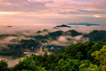 Natural blurred background of fog scattered among trees in the morning, with soft sunlight from the sun, seasonal beauty.