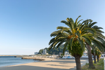 Fototapeta premium 熱海サンビーチ（静岡県熱海市）