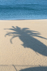 ヤシの木の影・熱海サンビーチ（静岡県熱海市）