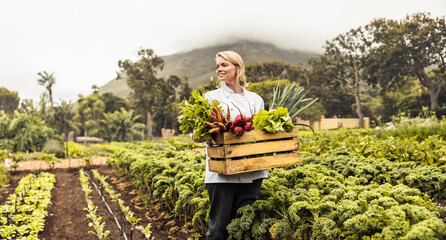 Happy young chef carrying fresh vegetables on a farm