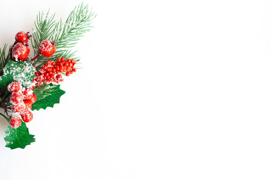 Christmas tree twig with red berries and holly leaves on a white background, copy space