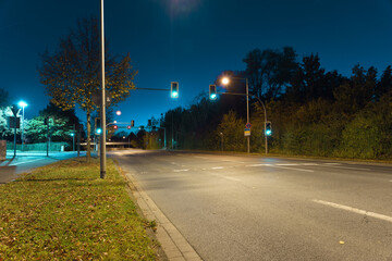 Fototapeta na wymiar Straße bei Nacht mit Ampel