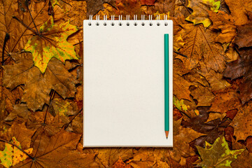 Empty paper notepad with autumn leaves