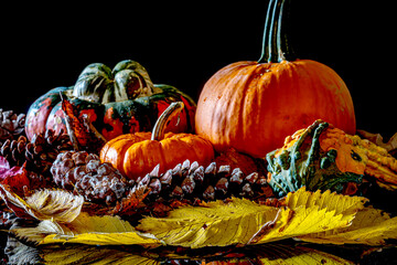 Autumn still life with black background pumpkins and leaves