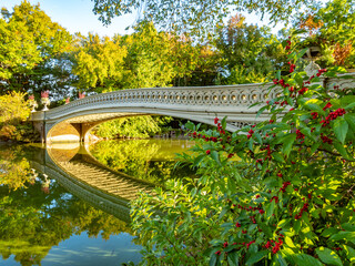 Bow Bridge,  Central Park, in early autumnow bridge