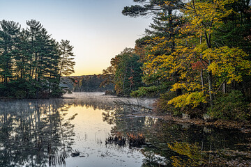 Fototapeta premium in late autumnHarriman State Park