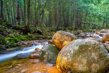 Along the Kancamagus Highway and the swift river