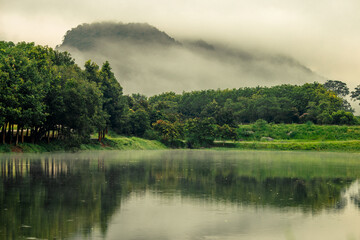 The close background of the green rice fields, the seedlings that are growing, are seen in rural areas as the main occupation of rice farmers who grow rice for sale or living.
