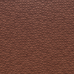 Genuine ostrich leather. The textured background of the ostrich skin is close. 3D-rendering