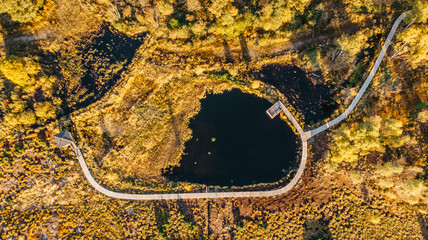 Peat bog near Pernink village in Krusne hory,Ore mountains,Czech Republic.Protected nature reserve.Colorful aerial landscape.Top view drone shot of fresh fall nature.Bog wetlands.Shallow basin