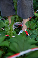 White young european girls legs standing within plants and restrictive tape