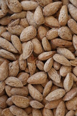 close up of almonds