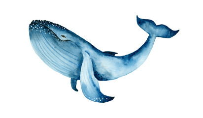 Blue Whale watercolor Abstract Painting 
Obraz akwarelowy Wieloryb Abstrakcja  - obrazy, fototapety, plakaty