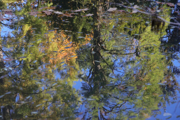 herbstreflexionen 02