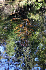 herbstreflexionen 01