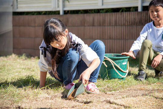 庭に芝生を植えるお手伝いをする小学生