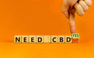 Need CBD, cannabidiol symbol. Doctor turns a cube and changes words 'need CBD no' to 'need CBD yes'. Beautiful orange background, copy space. Medical and need CBD cannabidiol concept.