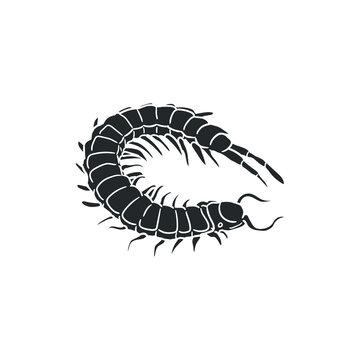 Centipedes Icon Silhouette Illustration. Insect Worm Vector Graphic Pictogram Symbol Clip Art. Doodle Sketch Black Sign.
