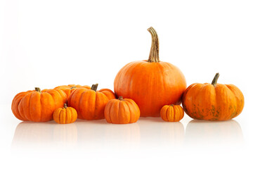 Orange pumpkins standing in line on white background. Front view