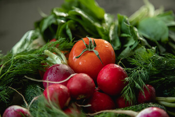 food, vegetable, tomato, vegetables, pepper, healthy, fresh, cucumber, vegetarian, salad, onion, diet, isolated, red, fruit, lettuce, cabbage, carrot, garlic, white, health, broccoli, agriculture, pap