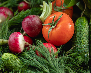 food, vegetable, tomato, vegetables, pepper, healthy, fresh, cucumber, vegetarian, salad, onion, diet, isolated, red, fruit, lettuce, cabbage, carrot, garlic, white, health, broccoli, agriculture, pap